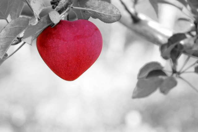 srdcové jablko